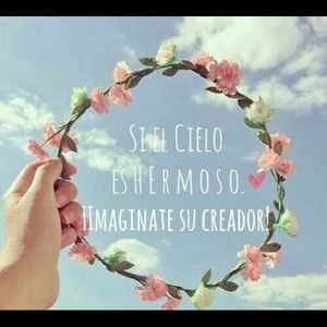 Meet your Posher, Daisy